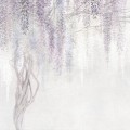 TAPETA WISTERIA PURPLE