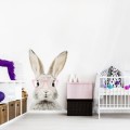 naklejka na ścianę królik stefan w okularach