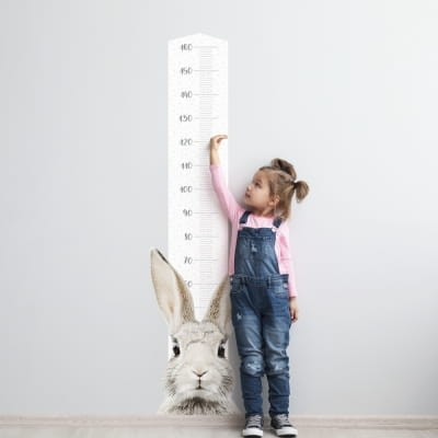 miarka wzrostu królik