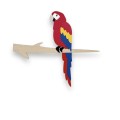 papuga dekoracja na ścianę