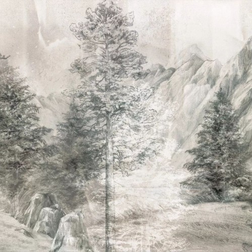 tapeta z lasem dla nastolatków  (1).jpg