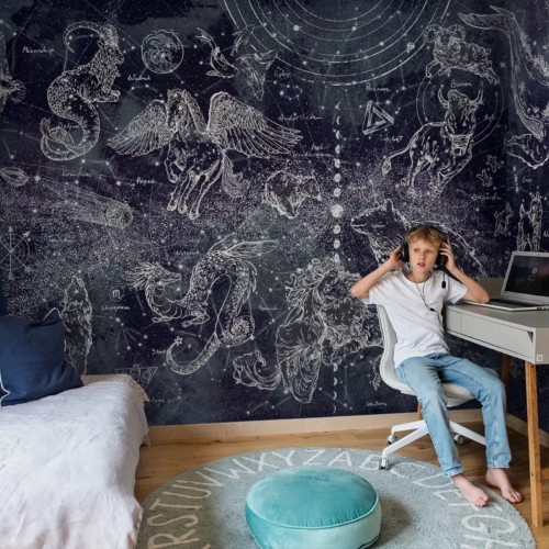 tapeta nocne niebo znaki zodiaku (2).jpg