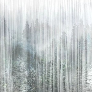 MALUMI - TAPETA Z MOTYWEM LEŚNYM MISTY