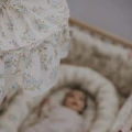 https://tuliroom.pl/upload/malomi-abazur-blooming.mp4