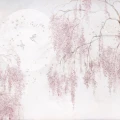 https://tuliroom.pl/upload/tapeta-birdsong.mp4