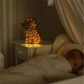 Lampka nocna dla dziecka Pudel z regulowanym ciepłym światłem LED