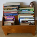 Drewniana biblioteczka dziecięca Simple z wyjmowaną przegródką do segregacji książe