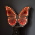 lampka-dla-dziecka-motyl-koral.jpg