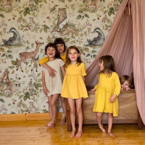 tapeta cute forest animals