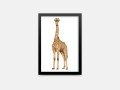 plakat-zyrafa-01.jpg