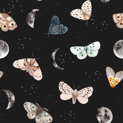 tapeta motyle dekorillo