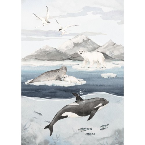 plakat arktyczny do pokoju chlopca