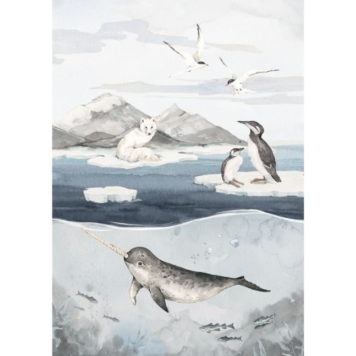 plakat do pokoju chlopca arktyka