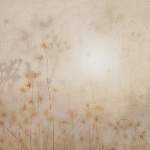 MALUMI - TAPETA SUNNY DAY