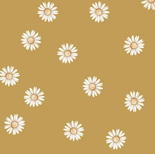 tapeta-stokrotki-zolty-dekorillo-e1693283410567.webp