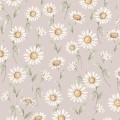 tapeta stokrotki sunny daisy róż