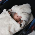 śpiworek do wózka dla niemowlaka teddy