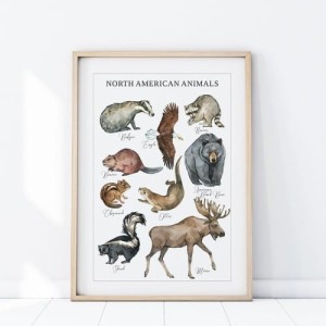 YOKO DESIGN - PLAKAT ZWIERZĘTA AMERYKA PÓŁNOCNA P480