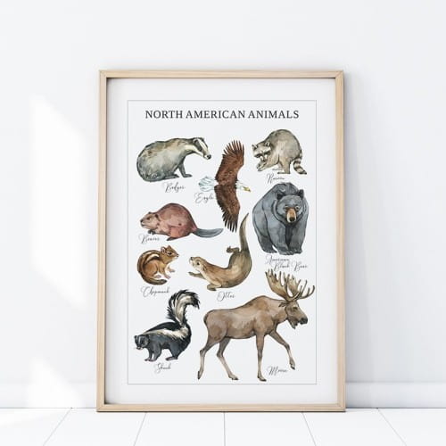 plakat zwierzęta ameryka