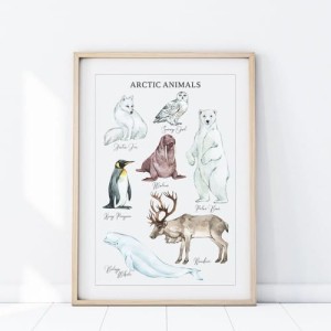 YOKO DESIGN - PLAKAT ZWIERZĘTA ARTKTYKA P484