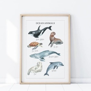 YOKO DESIGN - PLAKAT ZWIERZĘTA OCEAN P477