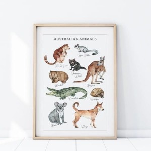 YOKO DESIGN - PLAKAT ZWIERZĘTA AUSTRALIA P481