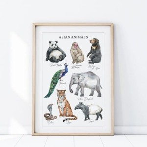 YOKO DESIGN - PLAKAT ZWIERZĘTA AZJA P482
