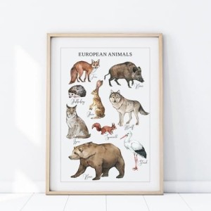 YOKO DESIGN - PLAKAT ZWIERZĘTA EUROPA P483