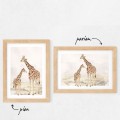 plakat żyrafy