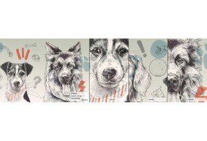 MALUMI DOGGIES ORANGE - PRÓBKA TAPETY 