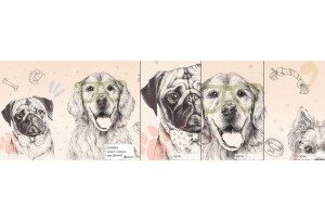 MALUMI DOGGIES RAINBOW - PRÓBKA TAPETY