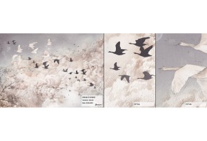 MALUMI DREAM EVENING BLACK - PRÓBKA TAPETY  